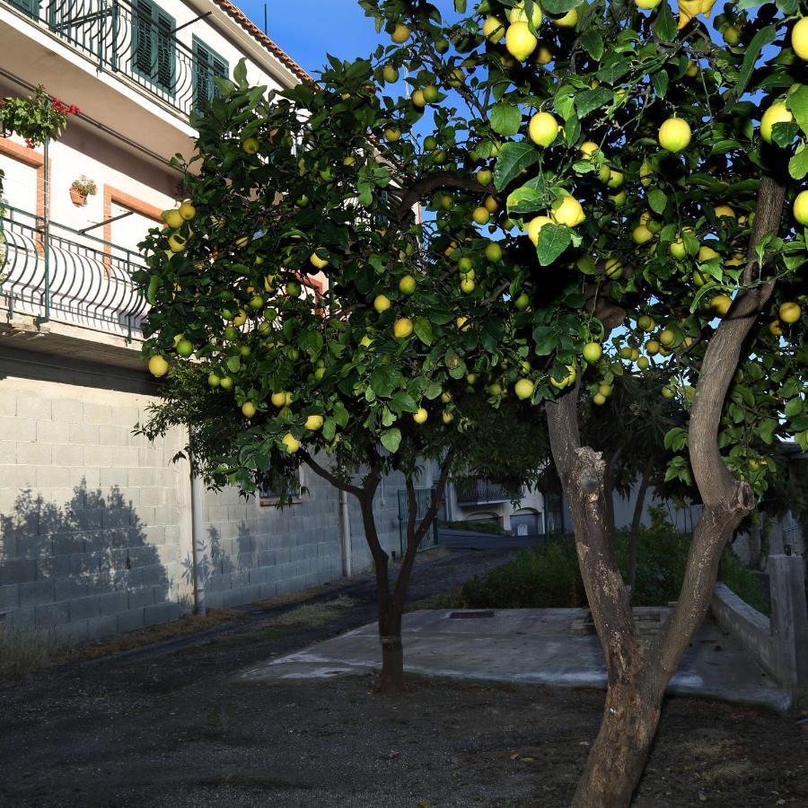 La Perla Apartment ตาออร์มินา ภายนอก รูปภาพ